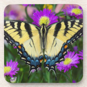 Frack Butterfly auf dem Fleck Untersetzer (Vorderseite)