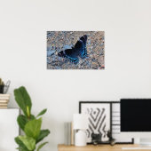 Frack Butterfly auf der Kies Road Poster (Heimbüro)