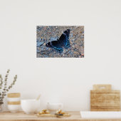 Frack Butterfly auf der Kies Road Poster (Küche)