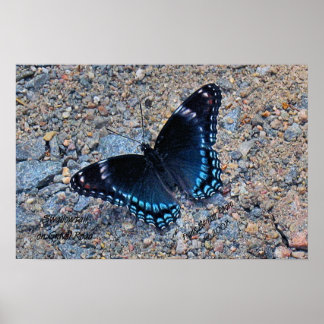 Frack Butterfly auf der Kies Road Poster