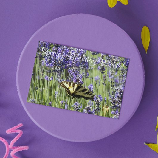 Frack Butterfly auf Lavender Blooms Geburtstag Karte