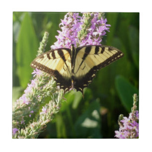 Frack Butterfly auf Lila Wildblumen Fliese