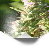 Frack Butterfly auf Lila Wildblumen Fotodruck (Ecke)