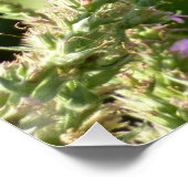 Frack Butterfly auf Lila Wildblumen Poster (Ecke)