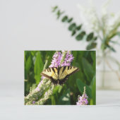 Frack Butterfly auf Lila Wildblumen Postkarte (Stehend Vorderseite)
