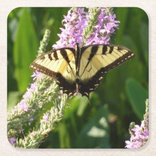Frack Butterfly auf Lila Wildblumen Rechteckiger Pappuntersetzer