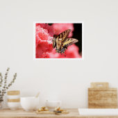 Frack Butterfly auf Pink Azalea Poster (Küche)