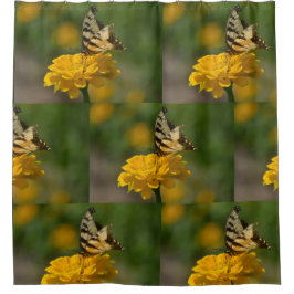 Frack Butterfly auf Zinnia Duschvorhang