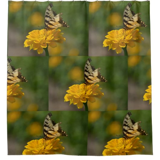 Frack Butterfly auf Zinnia Duschvorhang (Vorderseite)
