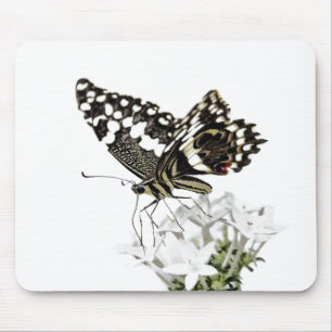 Frack Butterfly Bleich weiß Mousepad