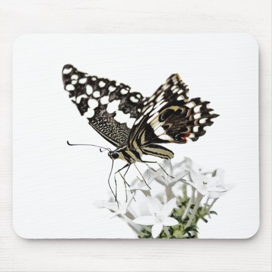 Frack Butterfly Bleich weiß Mousepad (Vorne)