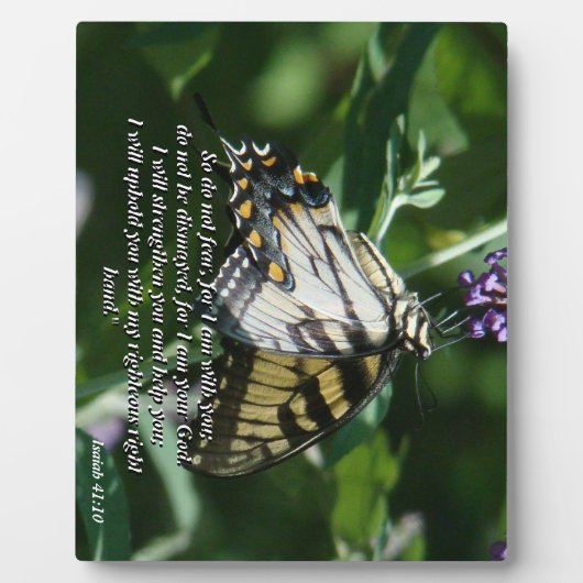 Frack Butterfly Blume Bibel Foto Plaque Fotoplatte (Vorderseite)