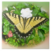 Frack Butterfly - Blume Fliese (Vorderseite)