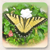 Frack Butterfly - Blume Getränkeuntersetzer (Vorderseite)