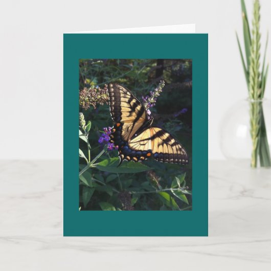 Frack Butterfly Card Karte (Vorderseite)