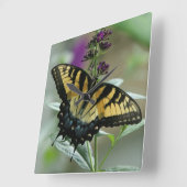 Frack Butterfly Clock Quadratische Wanduhr (Winkel)