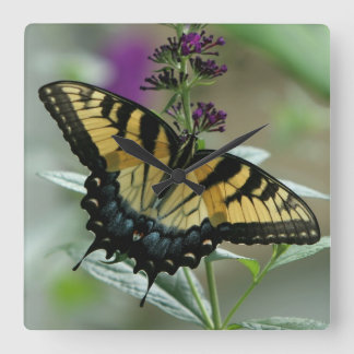 Frack Butterfly Clock Quadratische Wanduhr