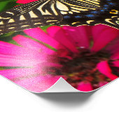 Frack Butterfly Foto (Ecke)