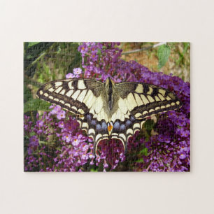 Frack Butterfly Foto Puzzle mit Geschenkboxen