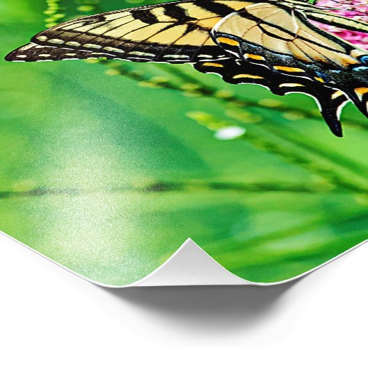 Frack Butterfly Fotodruck (Ecke)