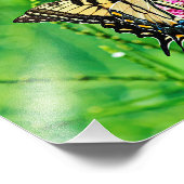 Frack Butterfly Fotodruck (Ecke)