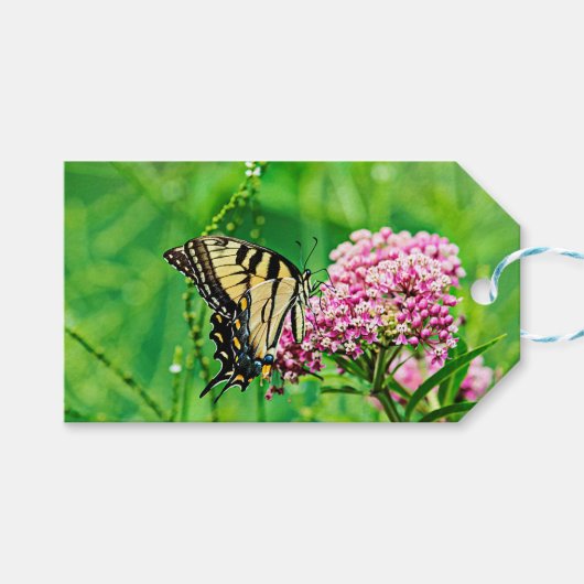 Frack Butterfly Geschenkanhänger (Vorderseite (Horizontal))