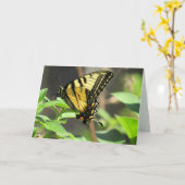Frack Butterfly Grußkarte Karte (Gelbe Blume)