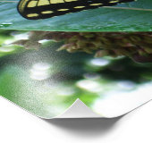 Frack Butterfly I auf Milkweed in Shenandoah Fotodruck (Ecke)