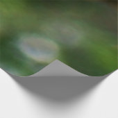 Frack Butterfly I auf Milkweed in Shenandoah Holzposter (Ecke)