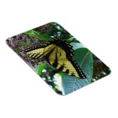 Frack Butterfly I auf Milkweed in Shenandoah Magnet (Rechte Seite)