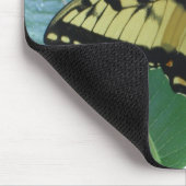 Frack Butterfly I auf Milkweed in Shenandoah Mousepad (Ecke)