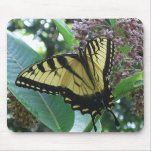 Frack Butterfly I auf Milkweed in Shenandoah Mousepad