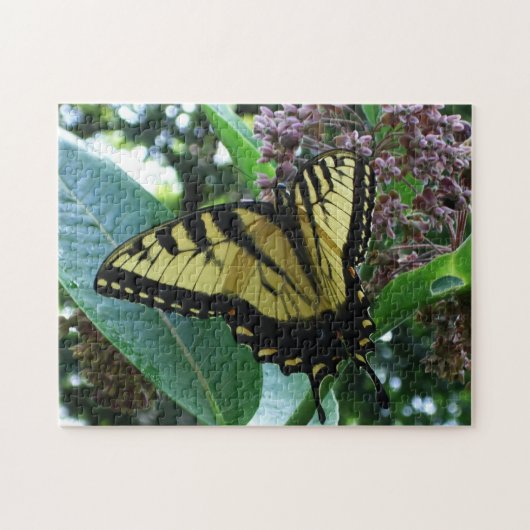 Frack Butterfly I auf Milkweed in Shenandoah Puzzle (Horizontal)