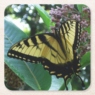 Frack Butterfly I auf Milkweed in Shenandoah Rechteckiger Pappuntersetzer