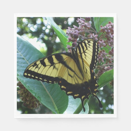 Frack Butterfly I auf Milkweed in Shenandoah Serviette (Vorderseite)