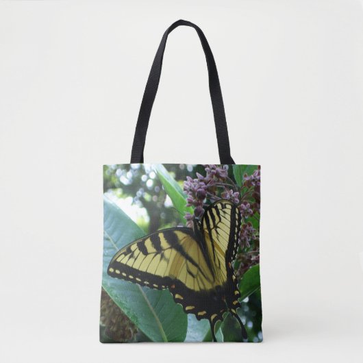 Frack Butterfly I auf Milkweed in Shenandoah Tasche (Vorderseite)