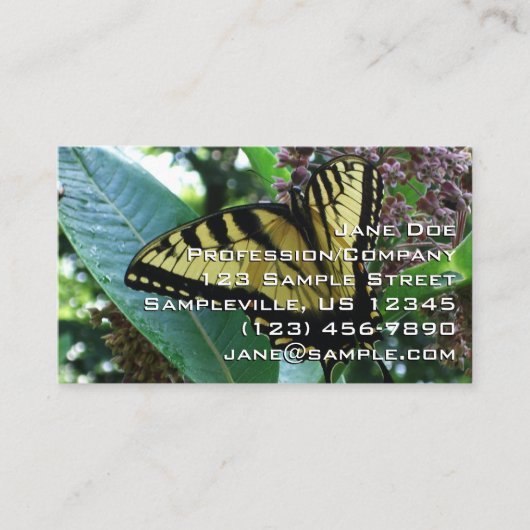 Frack Butterfly I auf Milkweed in Shenandoah Visitenkarte (Vorderseite)
