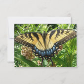 Frack Butterfly II in Shenandoah (Vorderseite)