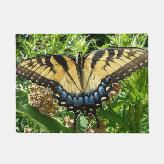 Frack Butterfly II in Shenandoah Fußmatte (Vorderseite)