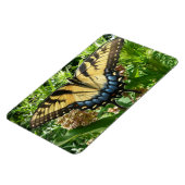 Frack Butterfly II in Shenandoah Magnet (Linke Seite)