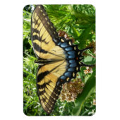 Frack Butterfly II in Shenandoah Magnet (Vertikal)