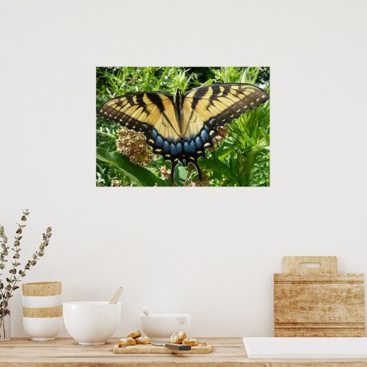 Frack Butterfly II in Shenandoah Poster (Küche)