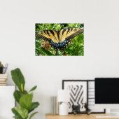 Frack Butterfly II in Shenandoah Poster (Heimbüro)