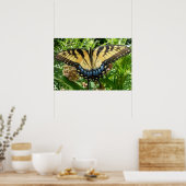 Frack Butterfly II in Shenandoah Poster (Küche)
