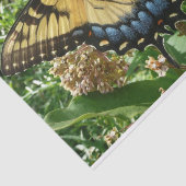 Frack Butterfly II in Shenandoah Seidenpapier (Ausschnitt)