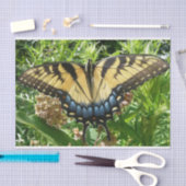 Frack Butterfly II in Shenandoah Seidenpapier (Handwerk)