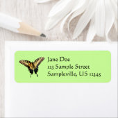 Frack Butterfly III Schönes farbiges Foto (Insitu)