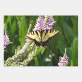 Frack Butterfly III Schönes farbiges Foto Geschenkpapier Set (Vorderseite 2)