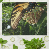 Frack Butterfly III Schönes farbiges Foto Handtuch (Gefaltet)