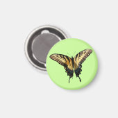 Frack Butterfly III Schönes farbiges Foto Magnet (Vorderseite/Rückseite)